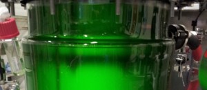 algae biofuel production