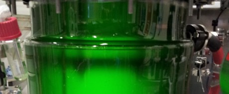 algae biofuel production