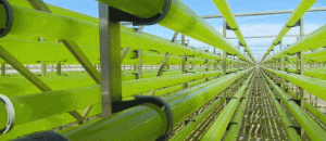 Photobioreactors at Necton