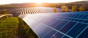Solar farm - stock image