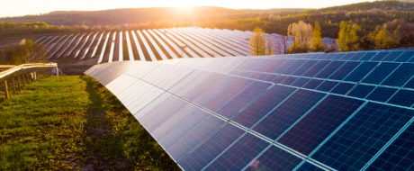Solar farm - stock image