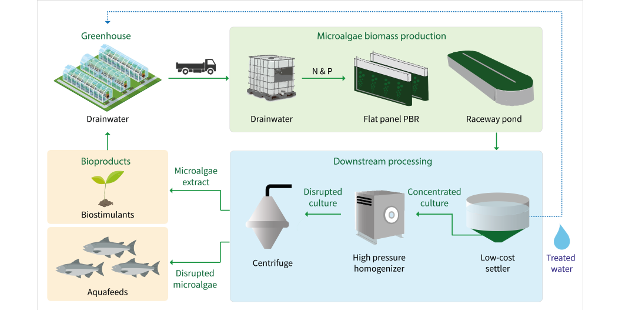 Schematic of the AlgaCycle project
