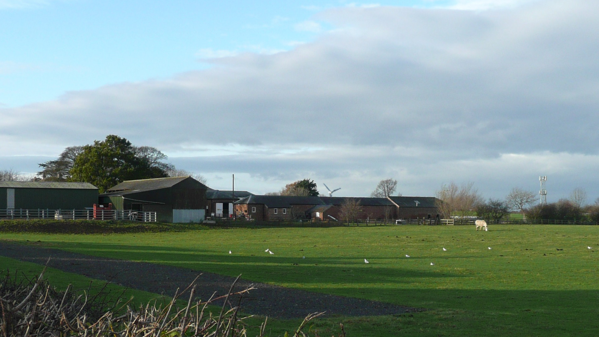 a farm with animals and blue sky