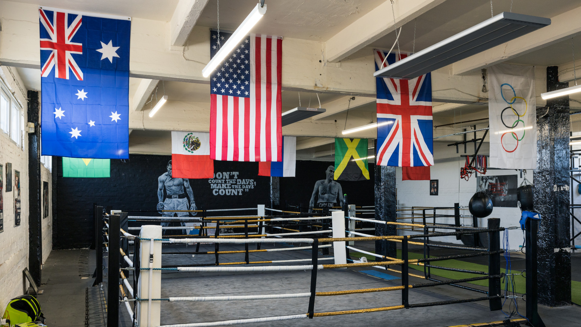 Austrailian, US, UK, Mexico, Russia,Brazil, Jamaica, Olympics flags