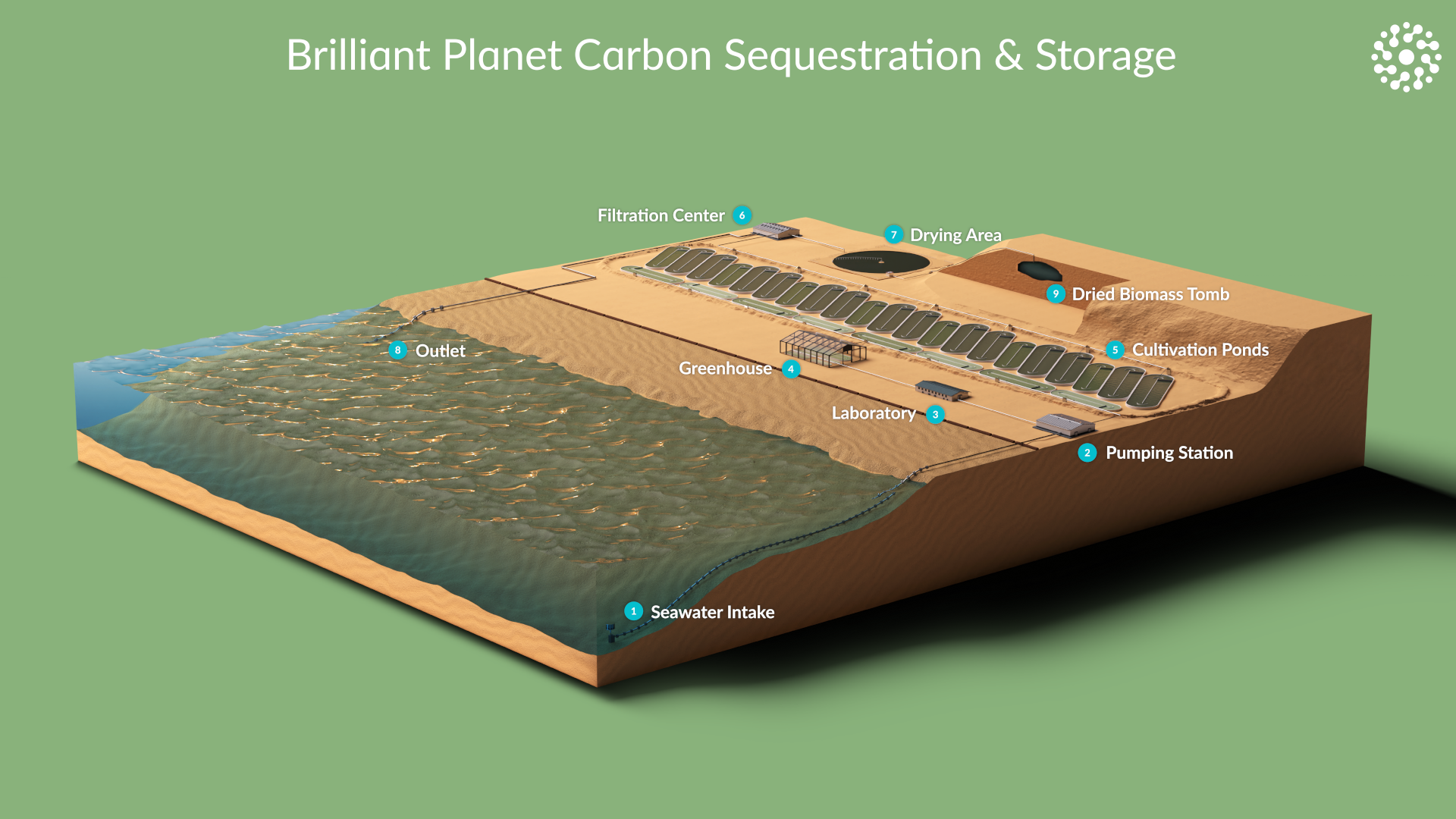 Schematic of the Brilliant Planet microalgae carbon dioxide removal system. The system is based on microalagae raceways, using water taken from the ocean.