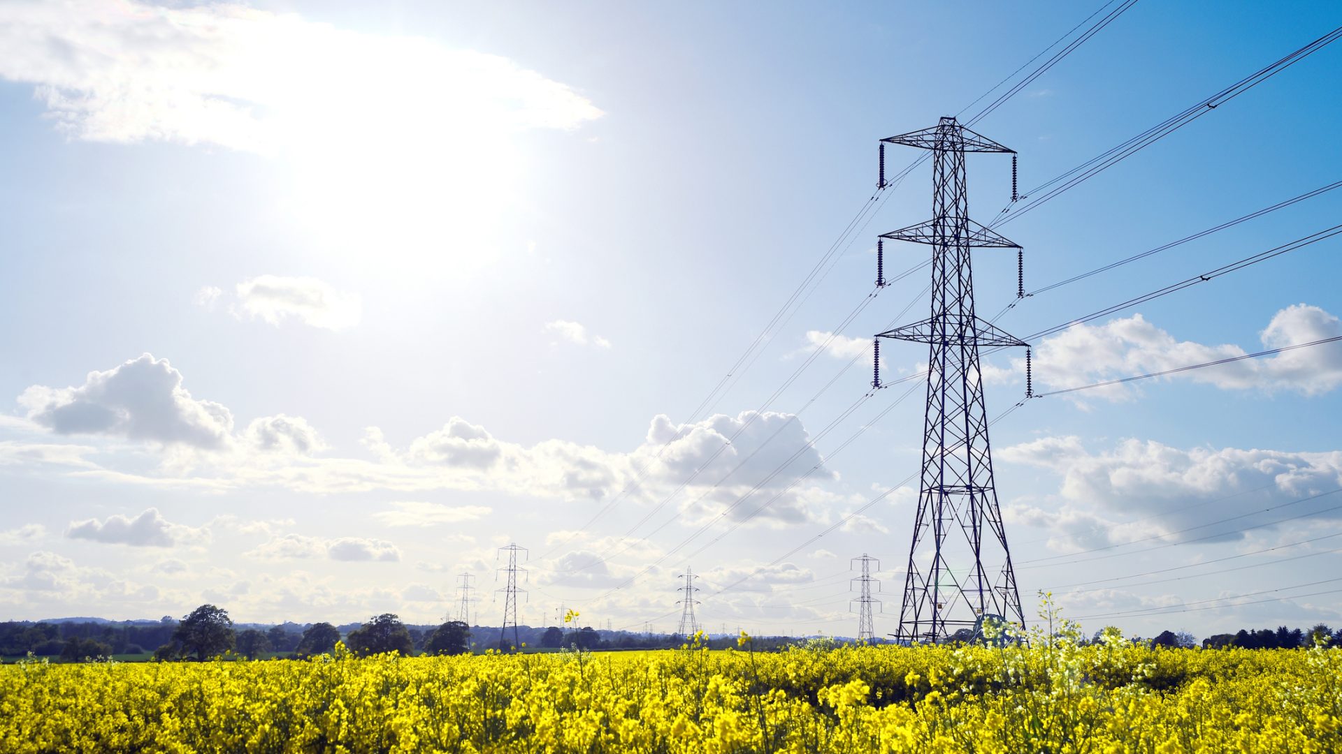 Electricity pylons